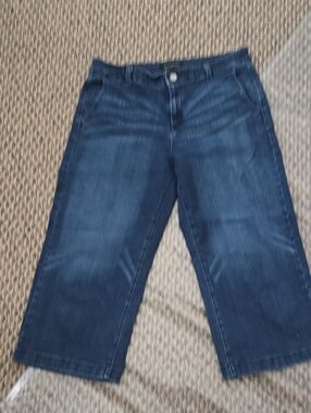 Banana Republic Dark Blue Denim Capris